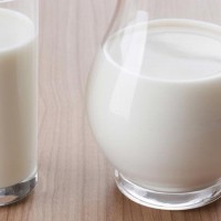 Risiko Kontaminasi pada Susu Segar