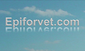 website epidemiologi veteriner